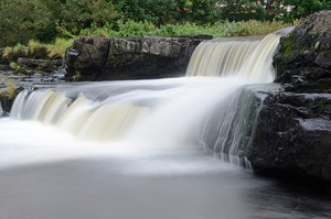 Paisley Mill