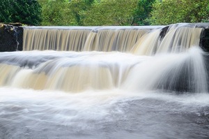 Paisley Mill