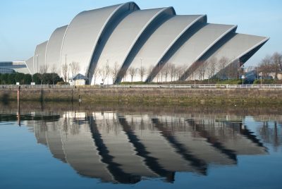 armadillo-reflection