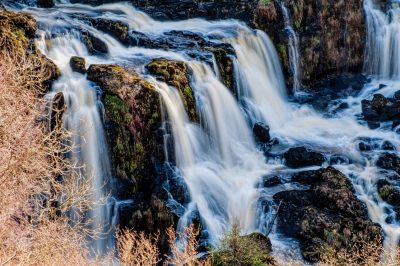 loup-of-fintry-2