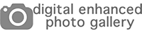 Digital Enhanced Photo Gallery logo 1